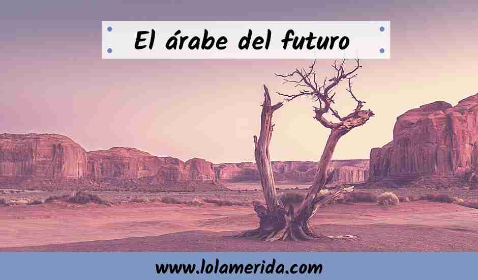 Lee más sobre el artículo ¿Por qué «El árabe del futuro» triunfa en ventas?