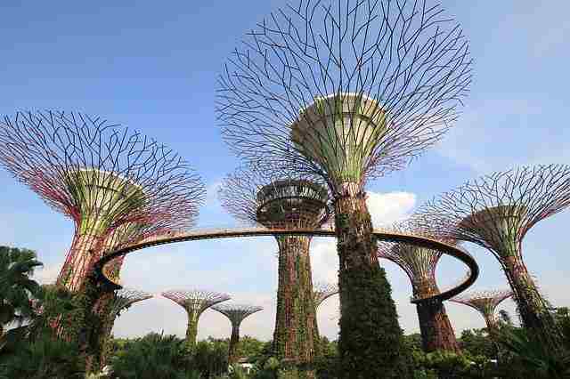 Jardín de Singapur