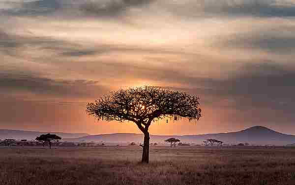 Kirinyaga paisaje africano 1