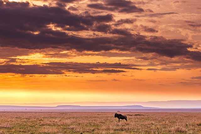 Kirinyaga paisaje africano 3